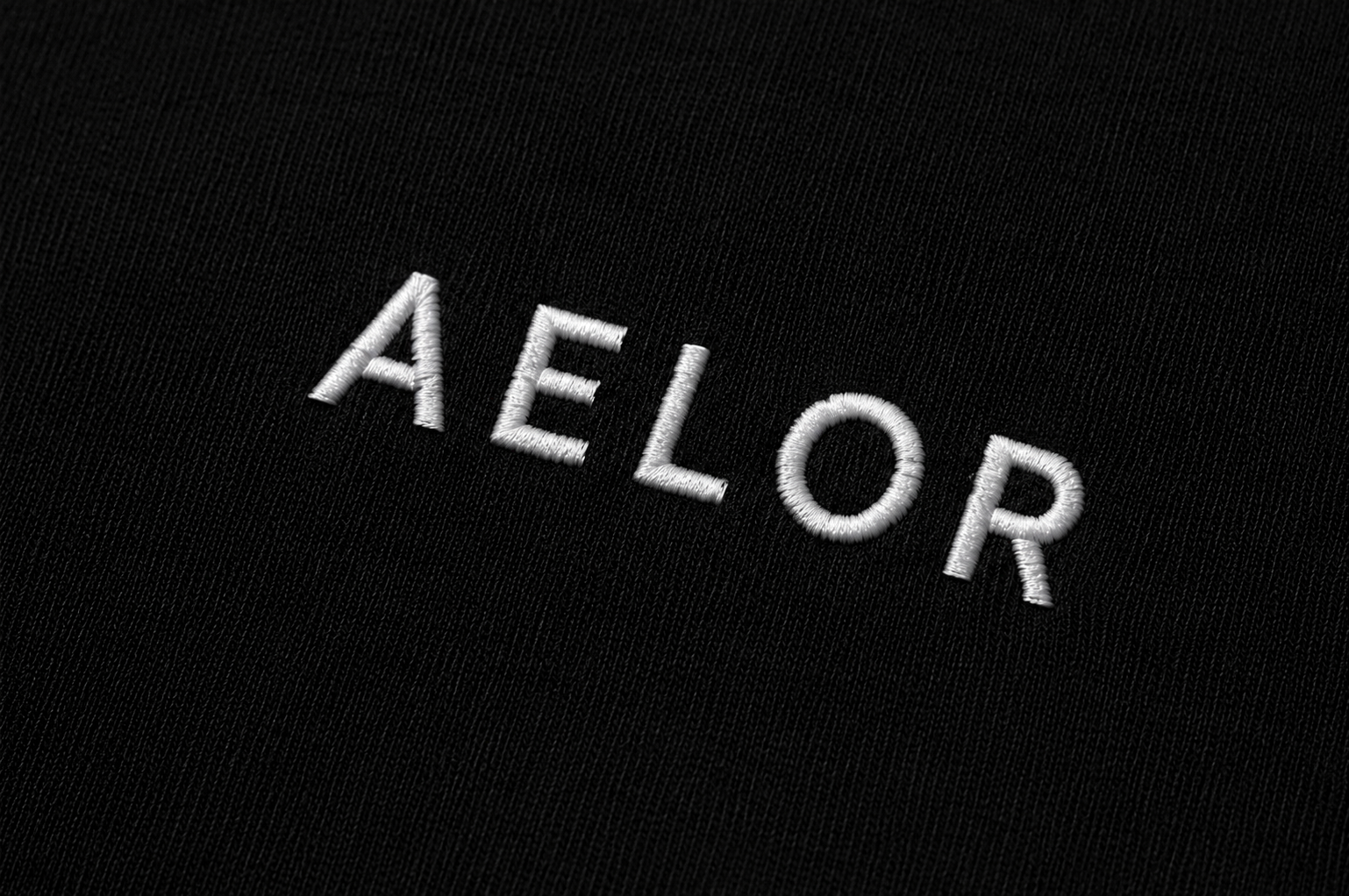 AELOR Signature Box Tee - Ảnh 3